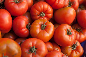 lots of tomatoes on a branch on counter