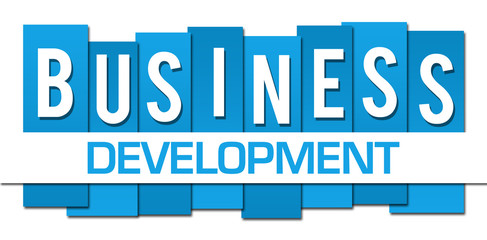 Business Development Blue Professional Horizontal 