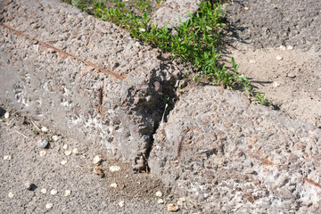 Destroyed concrete curb