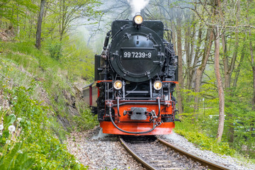 Eisenbahnromantik im Selketal Harzer Schmalspurbahnen im Harz