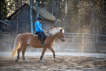 Woman horseback riding and showjumping