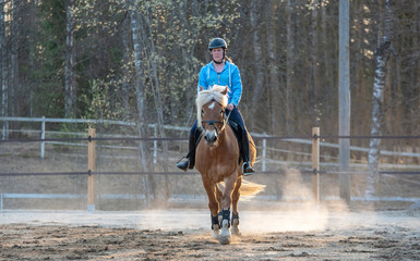 Woman horseback riding and showjumping