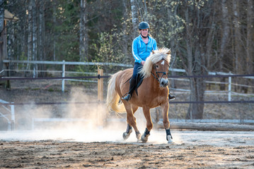 Woman horseback riding and showjumping