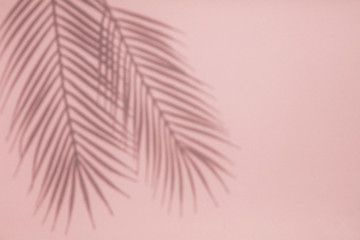Tropical palm tree leaf shadow on a pastel pink background. Summertime layout
