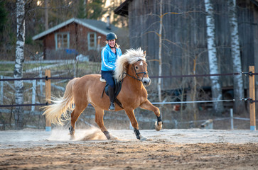 Woman horseback riding and showjumping
