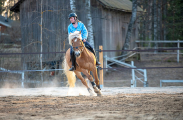Woman horseback riding and showjumping