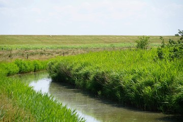 Sonnige Flusslandschaft am Deich auf Föhr