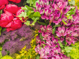 Beautiful variegated compositions of plants and flowers.