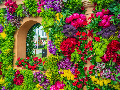 Beautiful variegated compositions of plants and flowers.