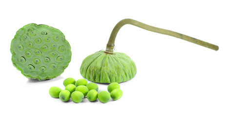 lotus seeds isolated on white background
