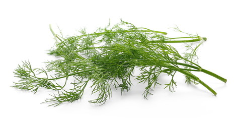 Fresh green dill isolated on white background