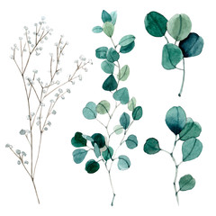 Watercolor hand painted green eucalyptus leaves and branches.