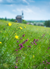 Beautiful scenery of the traditional ukrainian country village