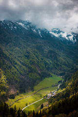 Flowers in Logar Valley between snowy mountains forest in Spring vacation tourist, Logarska dolina, Slovenia&nbsp;