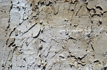 texture of freshly dried plaster