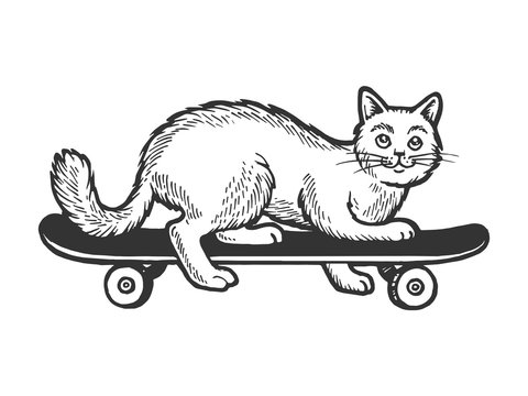 Domestic cat pet ride on skateboard sketch engraving vector illustration. Scratch board style imitation. Black and white hand drawn image.
