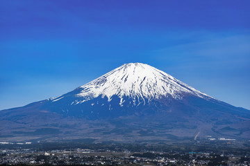 Fototapeta premium 青空と富士山