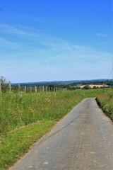 Fototapeta na wymiar Route de campagne.