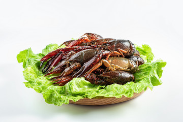 Crayfish with a dish cleaned on a white background
