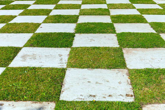 A Checker Matrix Of Grass And Rustic Clay Tile In An Outdoor Park. Japanese Garden. Buenos Aires