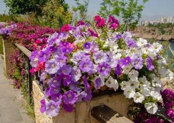 May 1, 2019, Turkey, Antalya, Old town Kaleici 