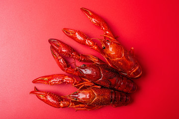 Three bright red delicious crayfish on a red background