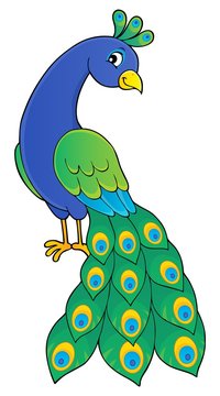 Peacock theme image 2