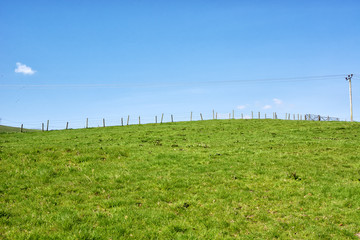 Fence-lined green field under the beautiful blue sky in Scotland, UK