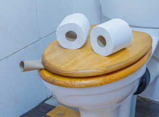 A face formed by two rolls of paper placed on top of a closed toilet lid image with copy space in...