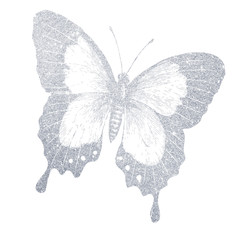A hand-drawn silver butterfly. Illustration on white background.