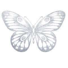 A hand-drawn silver butterfly. Illustration on white background.