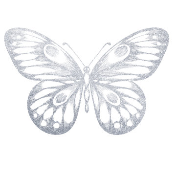 A hand-drawn silver butterfly. Illustration on white background.