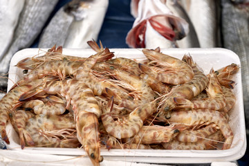King prawns at the fish market