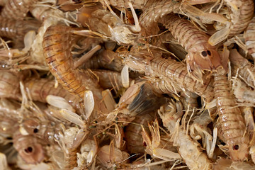 King prawns at the fish market