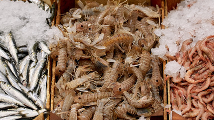 King prawns at the fish market