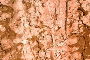 Marble background, texture. Close-up