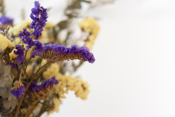 Beautiful dried flowers bouquet over white background