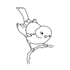 Cute bird sat on branch - cartoon character, vector illustration. Coloring book for children.