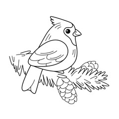 Red cardinal sat on branch - сute cartoon character, vector illustration. Coloring page for kids.