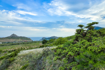 Fototapeta premium Sudak, Crimean Republic, Russia - May 30, 2017: View of the Sudak district, residential buildings, rolling hills, vineyards, sea on the horizon.