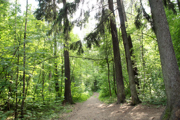 beautiful flattering terrain in our region