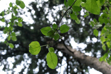 beautiful flattering terrain in our region