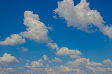 A flock of little clouds, Beautiful photo of clouds in the blue sky