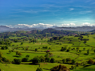Green meadow north of Spain with forests under the peaks of europe