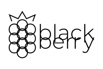 blackberry logo