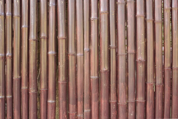 Old brown bamboo fence wall texture for background