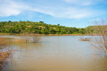 A view of Soizao Water Reservoir in midst of a preserved Caatinga forest in the countryside of Oeiras (Piaui, Brazil)