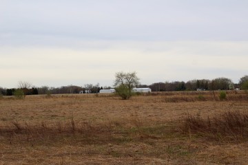 Fototapeta na wymiar The farmland field in the countryside on a cloudy day.