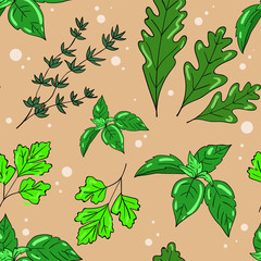 Vector seamless pattern with basil, parsley, arugula and thyme on beige background.  Good for printing. Postcard and logo ideas. Wallpaper and fabric design.