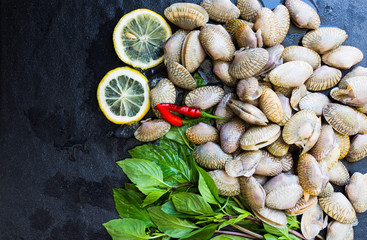 Fresh raw clam ready to cook placed on a on stone plate background,healthy food,view from the top.